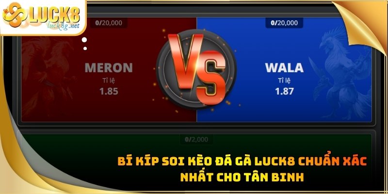 da-ga-luck8-bi-kip